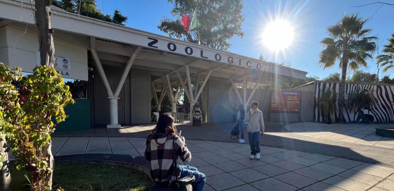 VISITARÁN LOS REYES MAGOS AL ZOOIRA