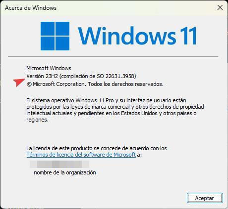 Versión Windows 11 instalada - 2