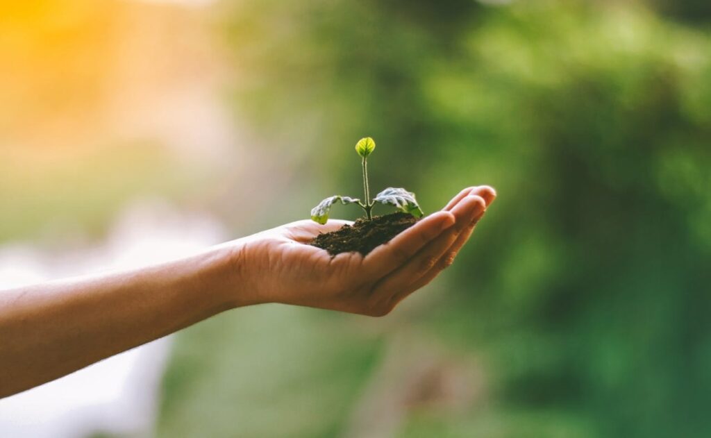 carreras para la preservación del medio ambiente