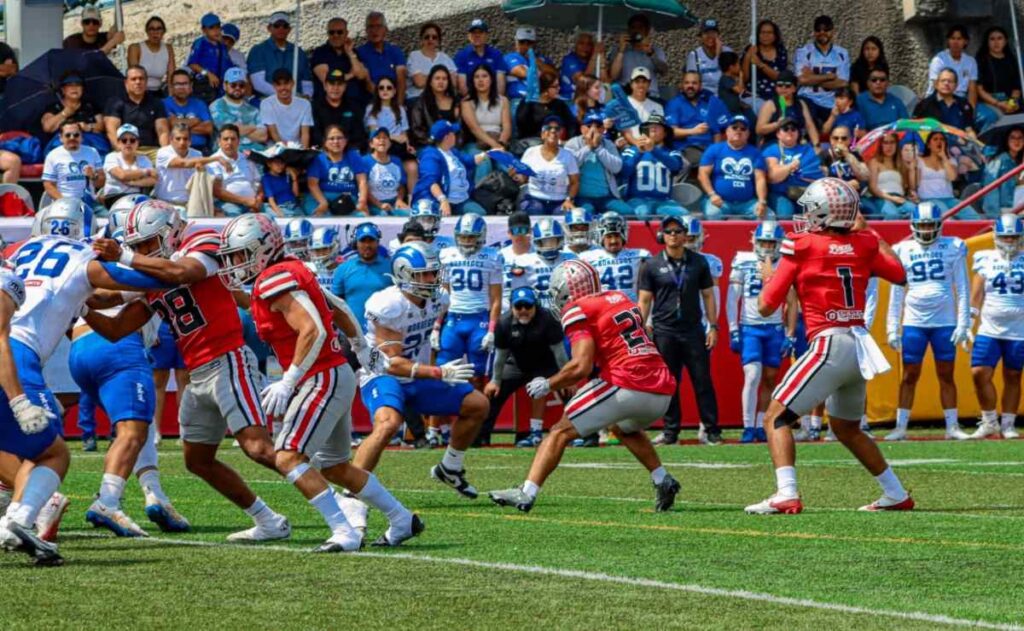 ONEFA-UVM